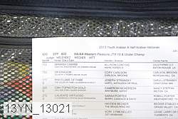 13yn_13021 proof