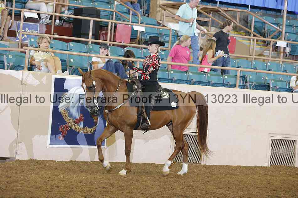 Proof 13yn_13023