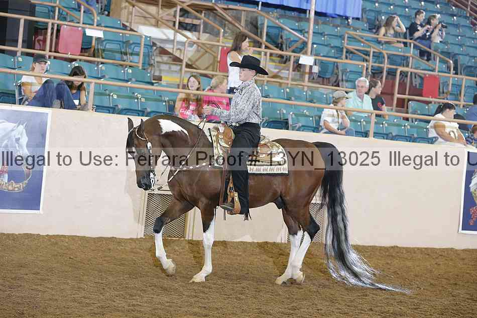 Proof 13yn_13025