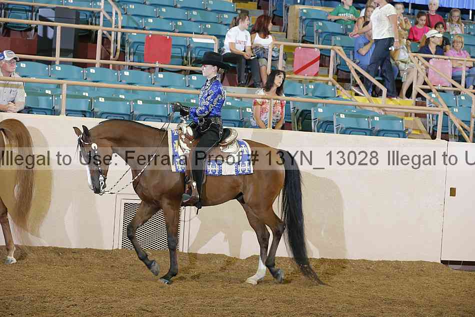 Proof 13yn_13028