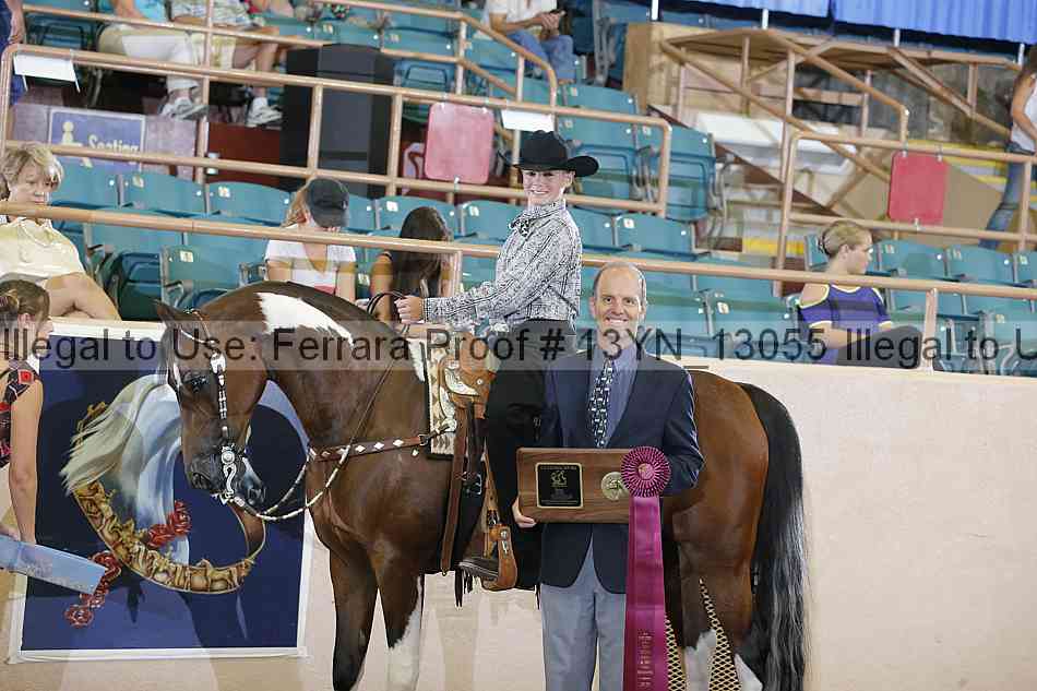 Proof 13yn_13055