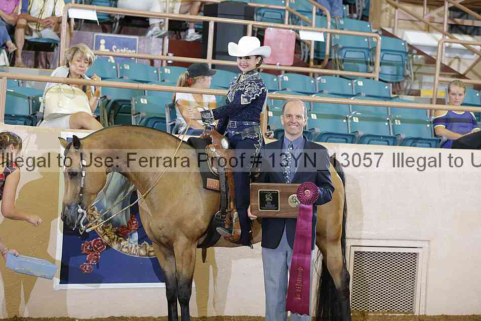 Proof 13yn_13057