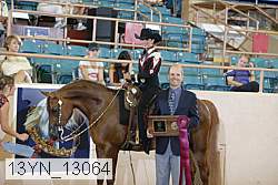 13yn_13064 proof