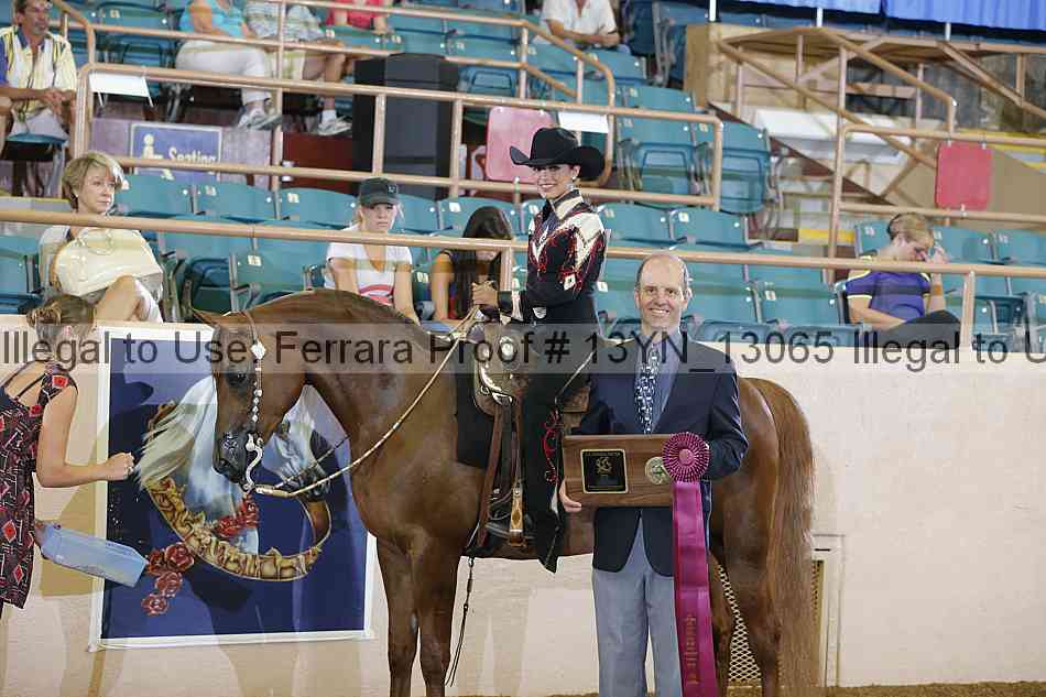 Proof 13yn_13065