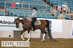 13yn_13103 proof