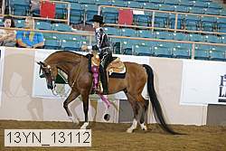 13yn_13112 proof