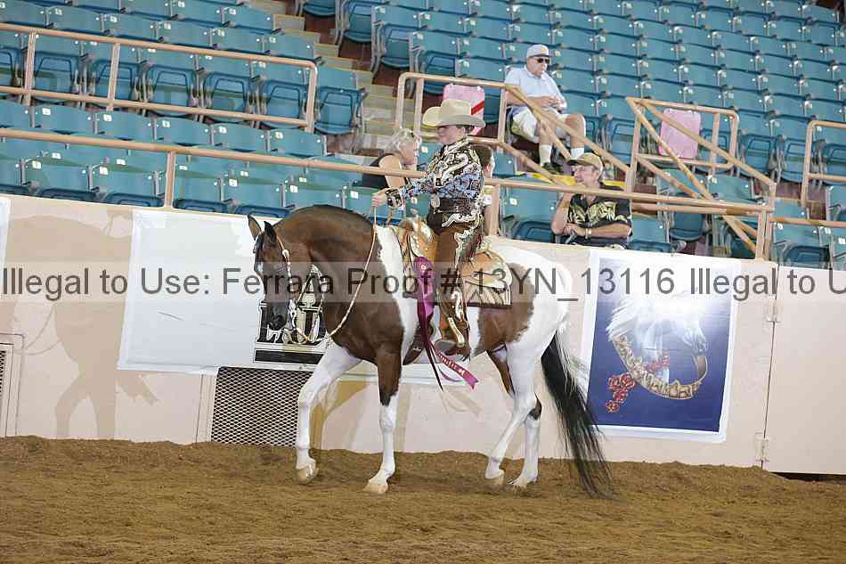 Proof 13yn_13116