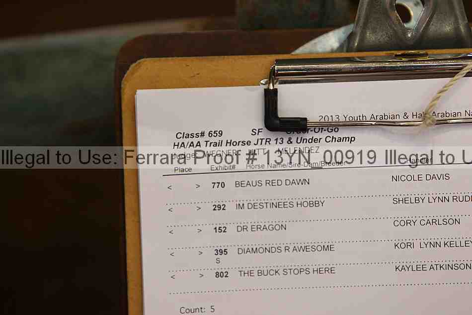 Proof 13yn_00919