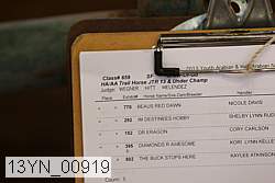 13yn_00919 proof