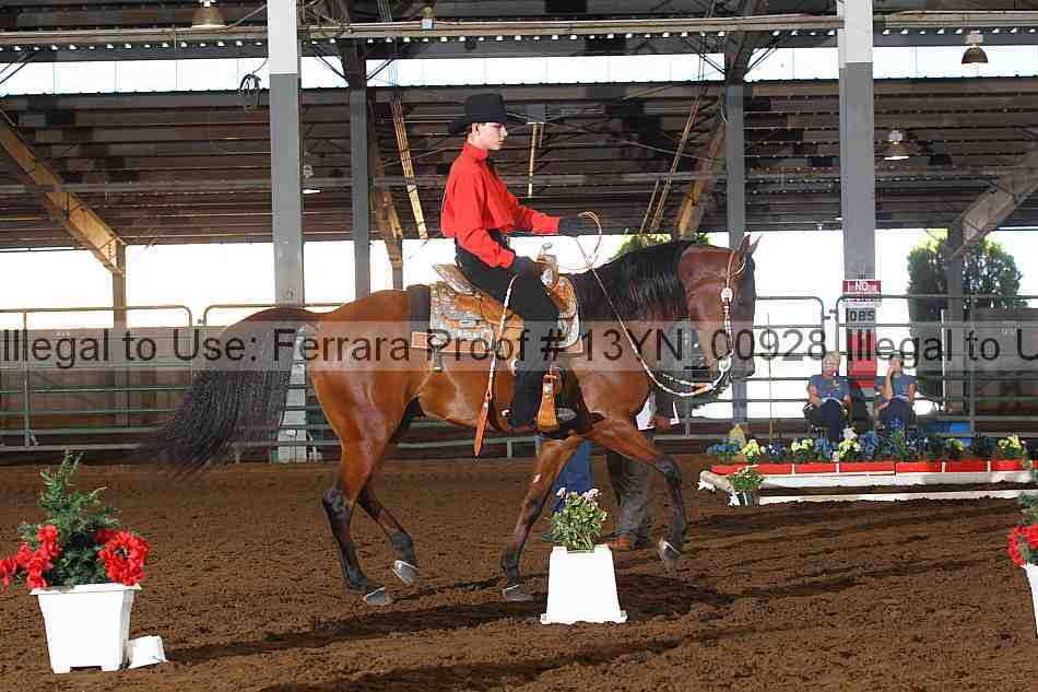 Proof 13yn_00928