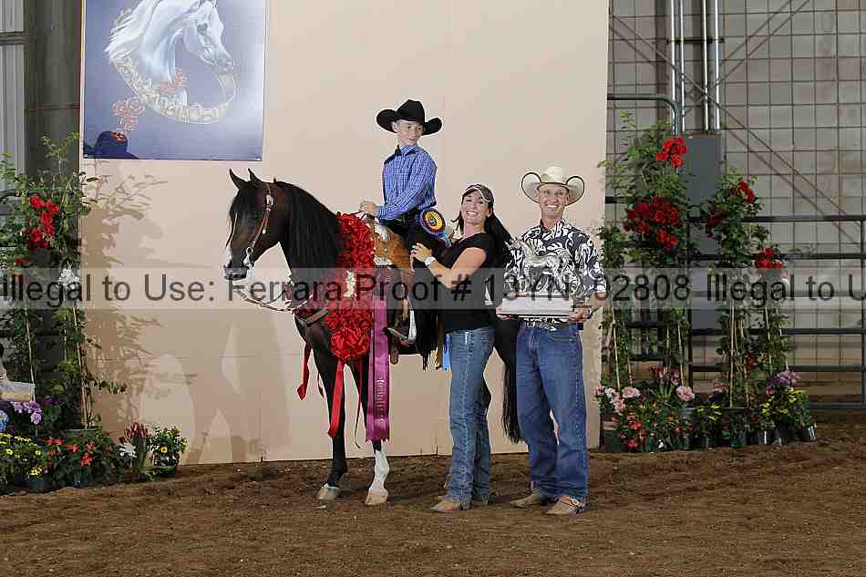 Proof 13yn_02808
