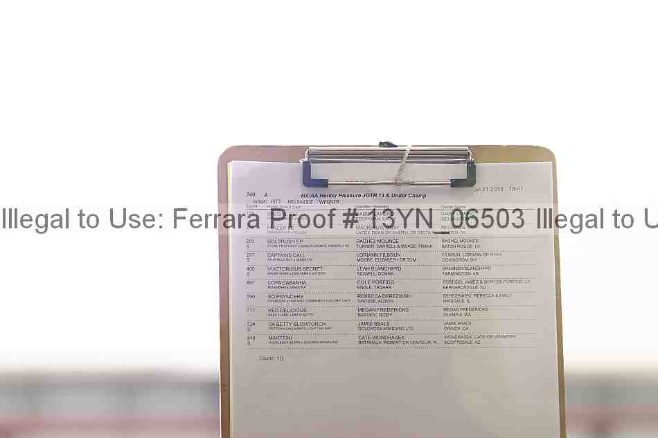 Proof 13yn_06503