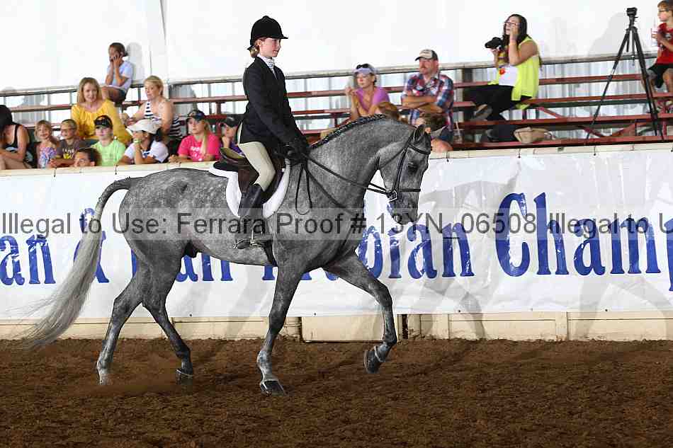 Proof 13yn_06508