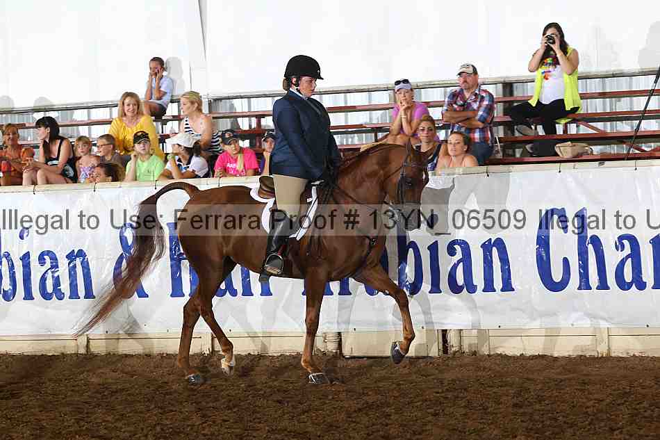 Proof 13yn_06509