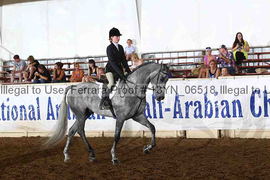 Proof 13yn_06518