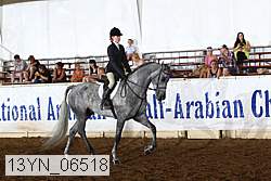 13yn_06518 proof