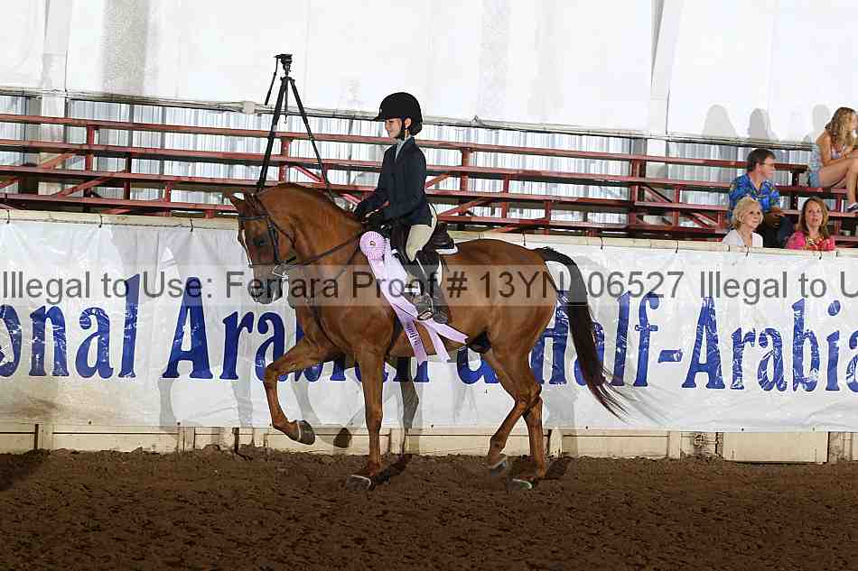 Proof 13yn_06527