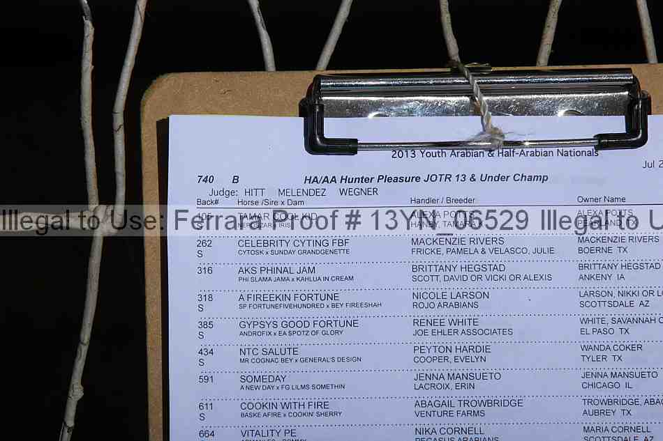 Proof 13yn_06529