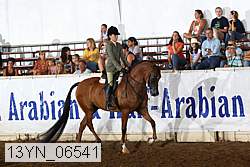 13yn_06541 proof