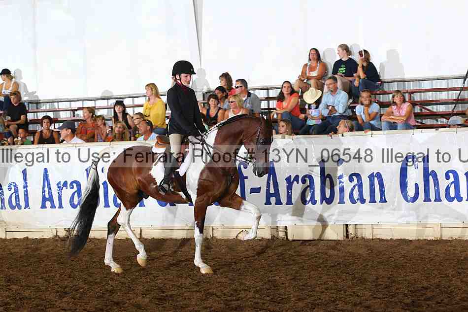 Proof 13yn_06548