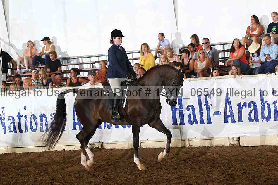 Proof 13yn_06549
