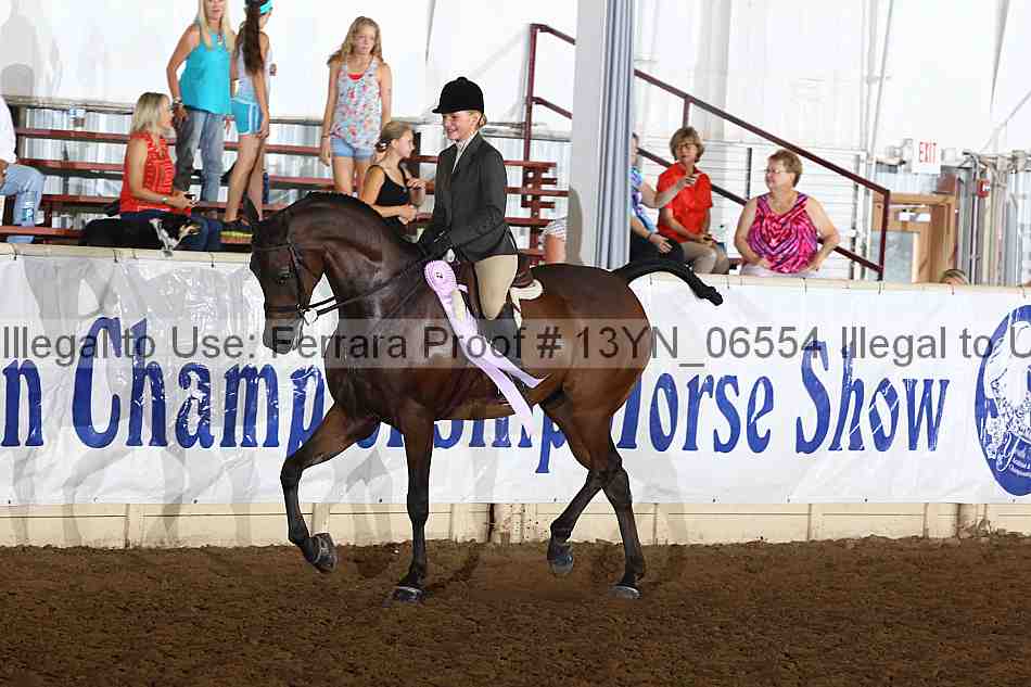 Proof 13yn_06554
