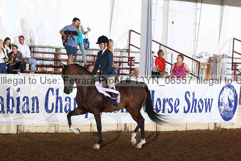 Proof 13yn_06557