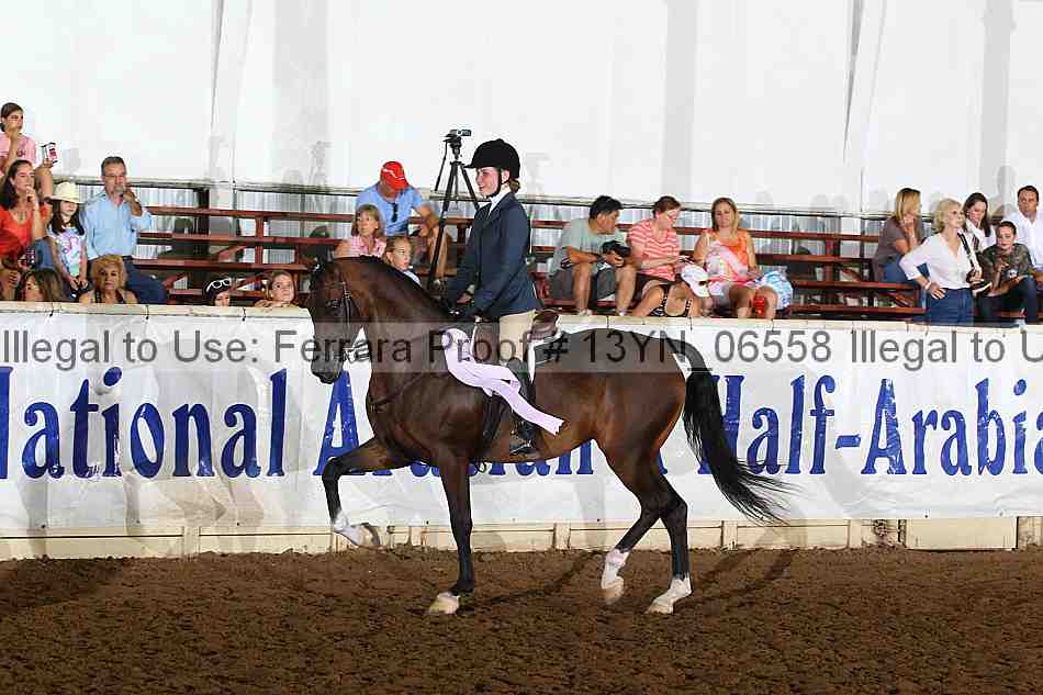 Proof 13yn_06558