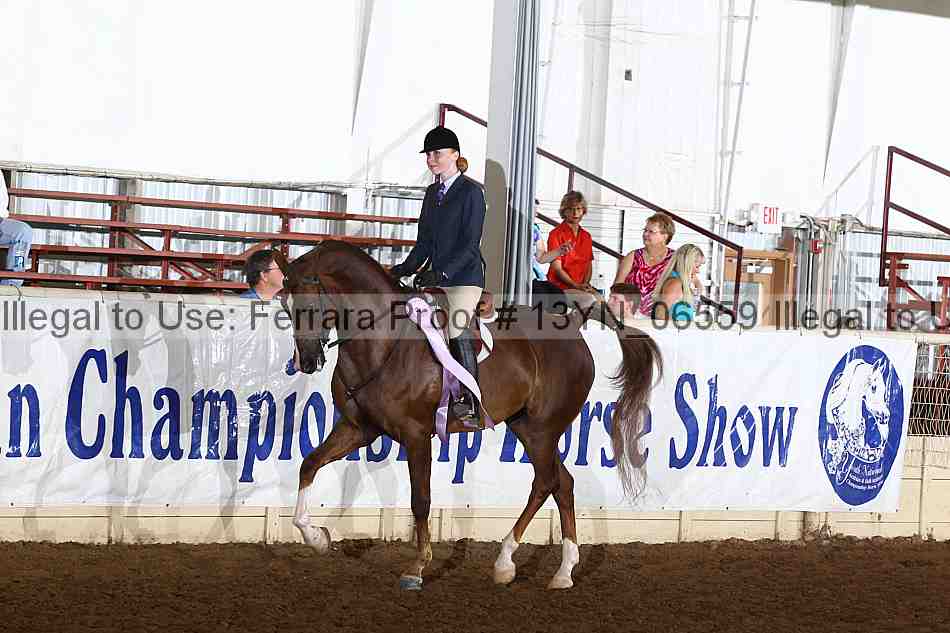 Proof 13yn_06559