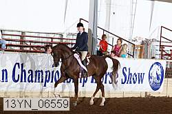 13yn_06559 proof