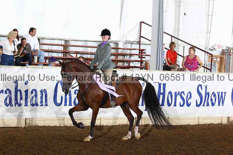 Proof 13yn_06561
