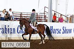 13yn_06561 proof