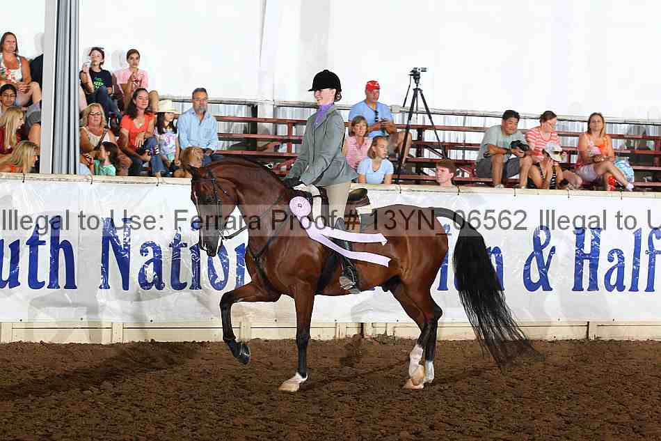 Proof 13yn_06562