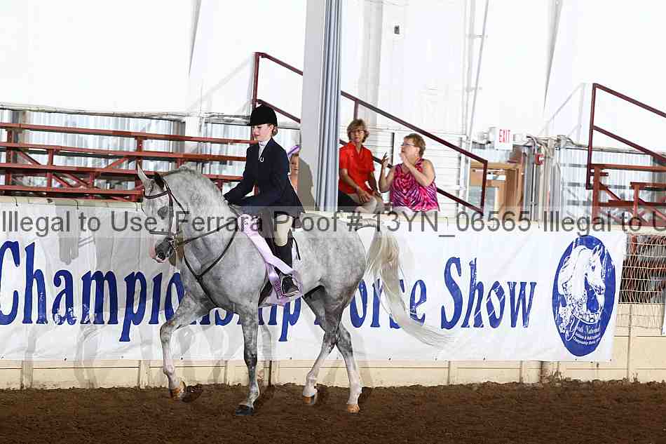 Proof 13yn_06565