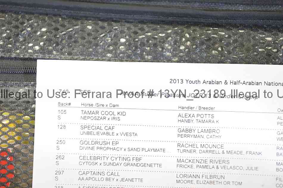 Proof 13yn_23189