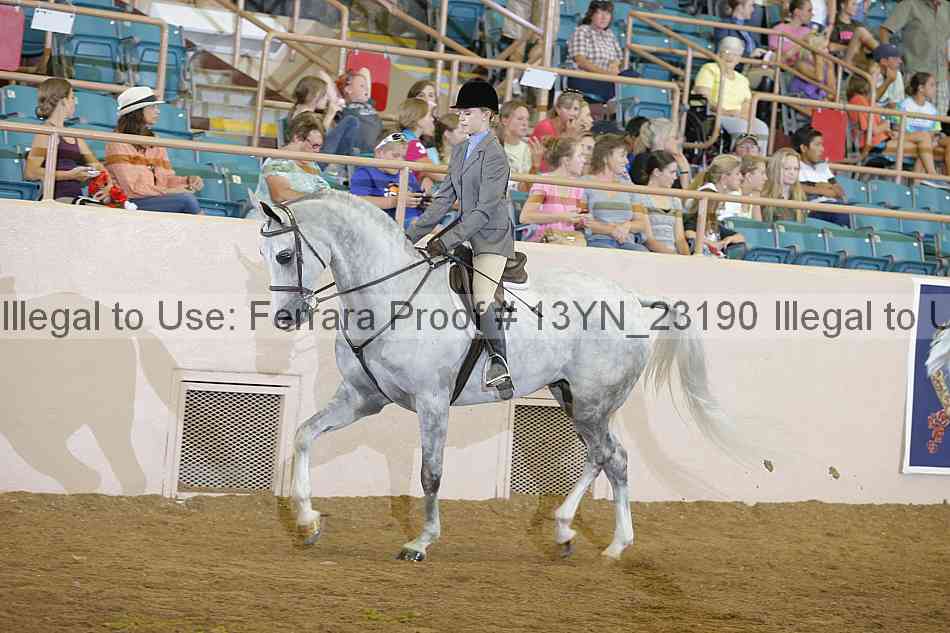 Proof 13yn_23190