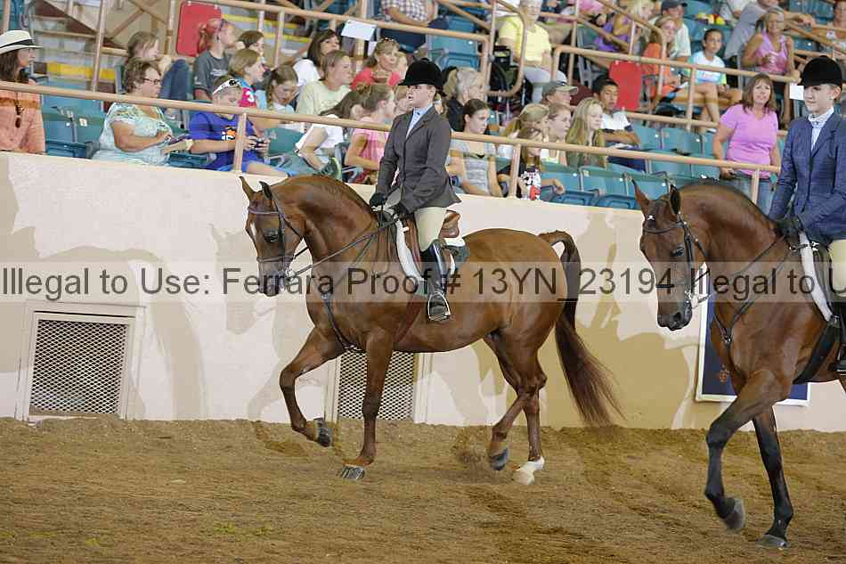 Proof 13yn_23194