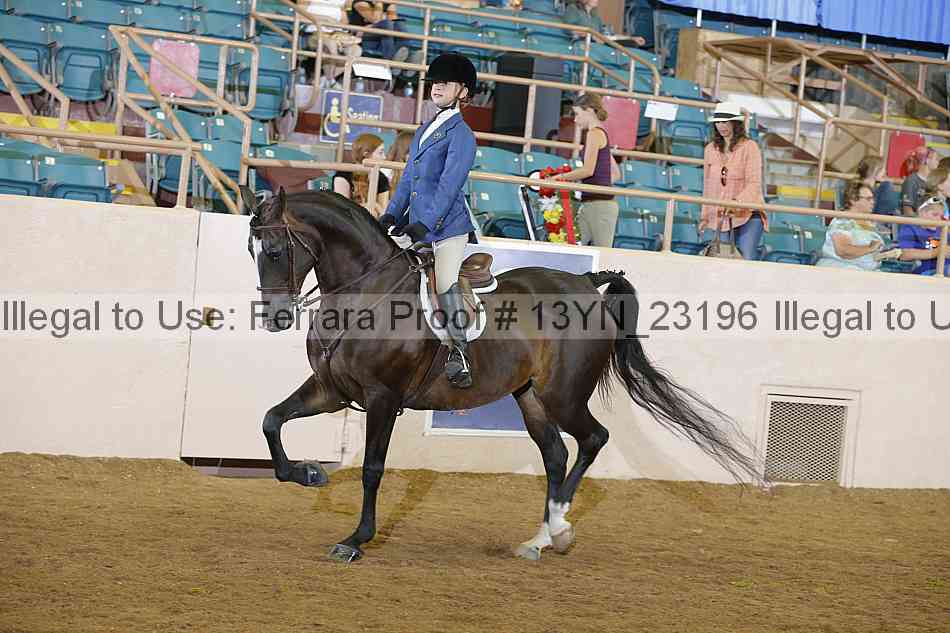 Proof 13yn_23196