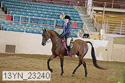 13yn_23240 proof