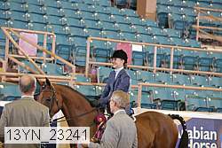 13yn_23241 proof