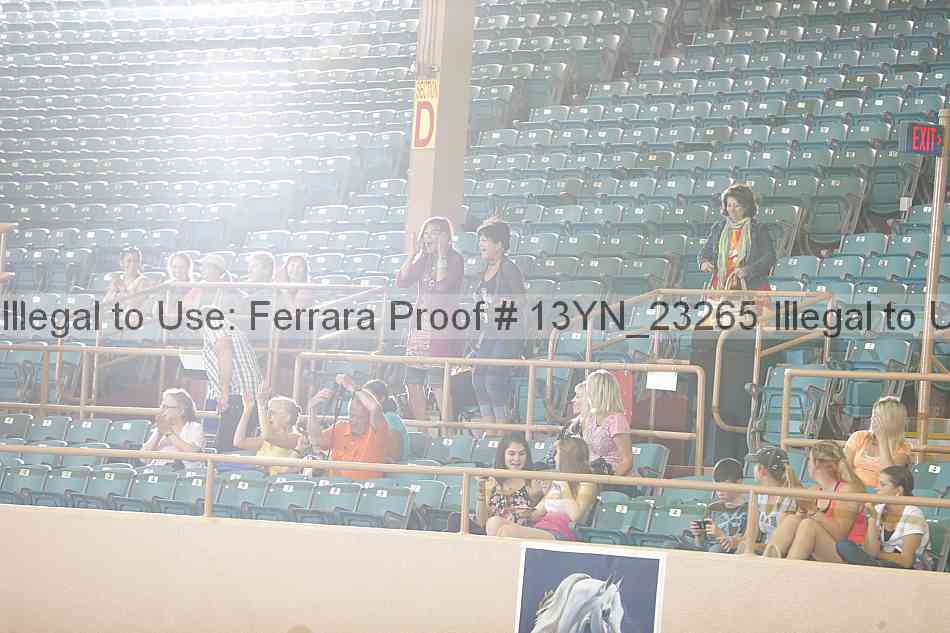 Proof 13yn_23265