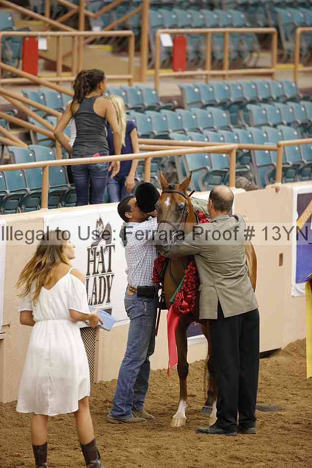 Proof 13yn_23273