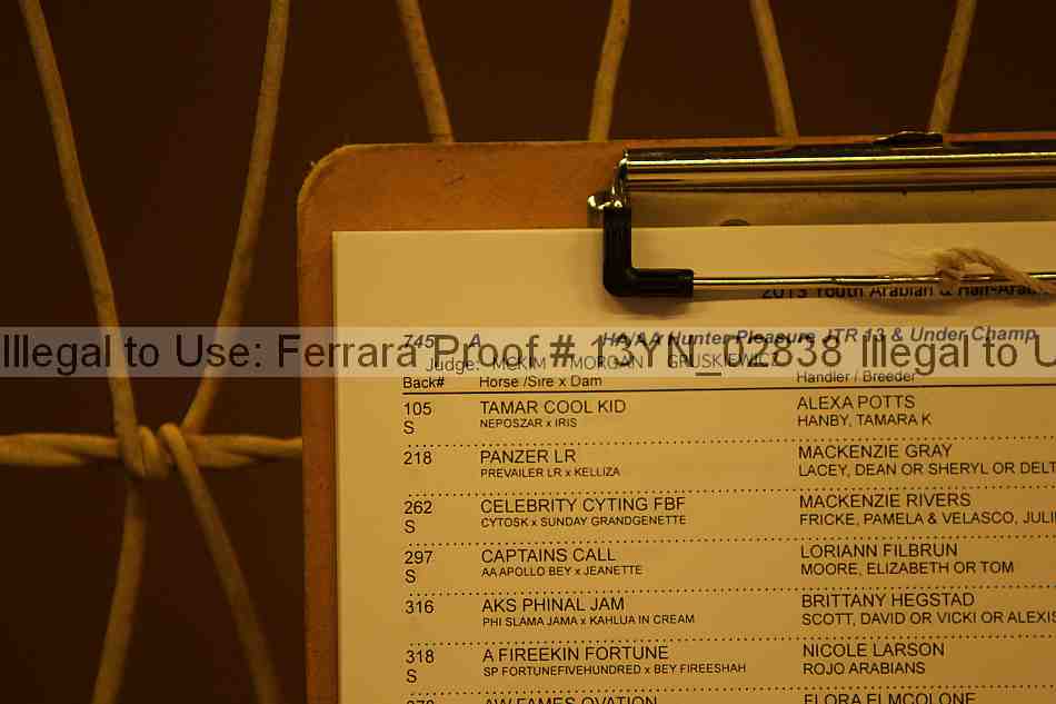 Proof 13yn_02838