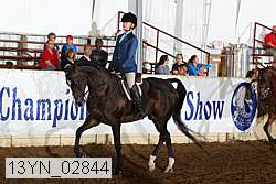 13yn_02844 proof