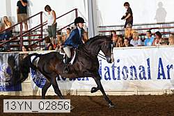 13yn_02856 proof