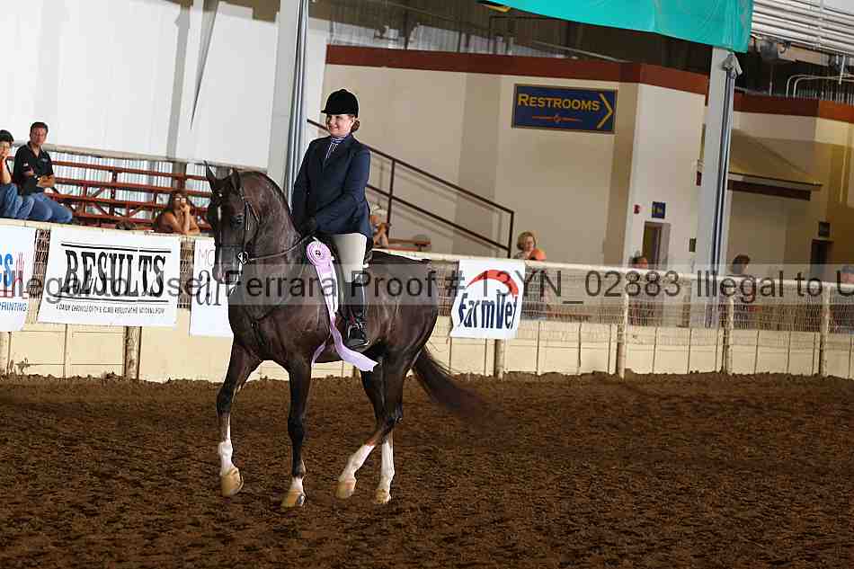 Proof 13yn_02883