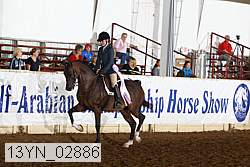 13yn_02886 proof