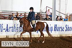 13yn_02900 proof