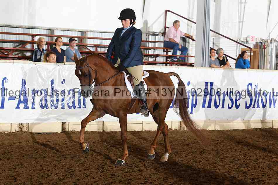 Proof 13yn_02908