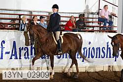 13yn_02909 proof